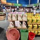 毕节旅游 缩略图 4