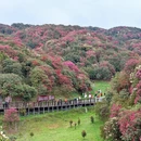 贵阳旅游 缩略图 3