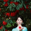 贵阳旅游 缩略图 2