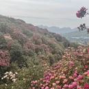 毕节旅游 缩略图 7