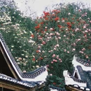 贵阳旅游 缩略图 3
