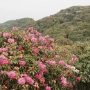 毕节旅游 缩略图 8