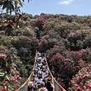 毕节旅游 缩略图 1
