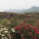 毕节旅游 缩略图 12