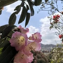 毕节旅游 缩略图 7