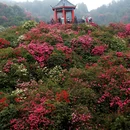 毕节旅游 缩略图 14