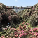 毕节旅游 缩略图 8
