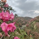 毕节旅游 缩略图 9
