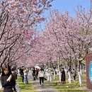 宁波旅游 缩略图 8