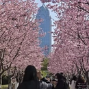 宁波旅游 缩略图 7