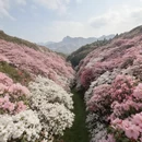 遵义旅游 缩略图 1
