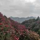 毕节旅游 缩略图 8