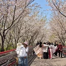 宁波旅游 缩略图 11