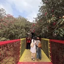 遵义旅游 缩略图 5