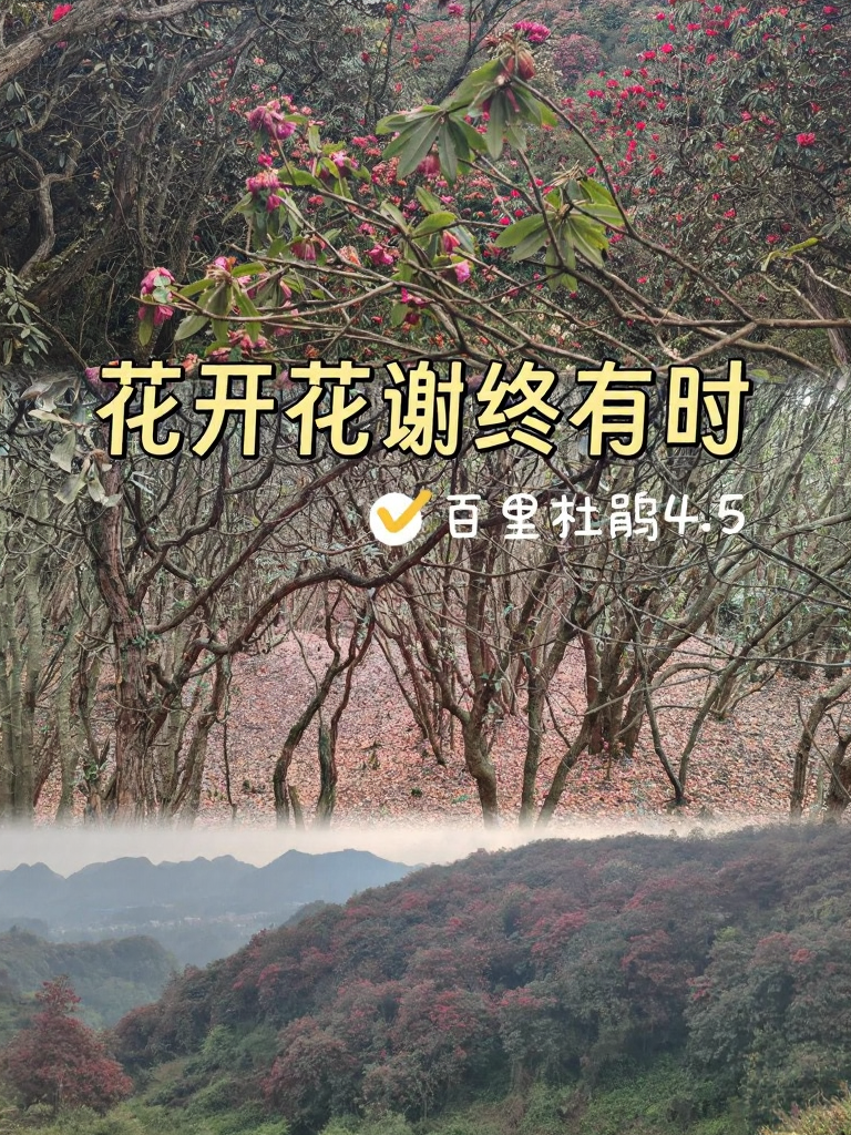毕节旅游