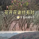 毕节旅游 缩略图 1