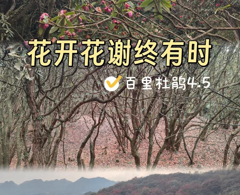 毕节旅游 1