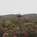毕节旅游 缩略图 10