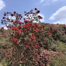 毕节旅游 缩略图 3