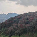 毕节旅游 缩略图 3