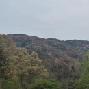 毕节旅游 缩略图 2