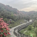 毕节旅游 缩略图 11