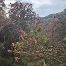 毕节旅游 缩略图 4