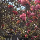 毕节旅游 缩略图 5
