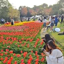 宁波旅游 缩略图 5