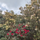 毕节旅游 缩略图 5