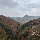 毕节旅游 缩略图 10