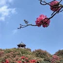 毕节旅游 缩略图 11