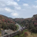 毕节旅游 缩略图 11