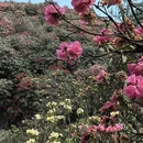 毕节旅游 缩略图 9