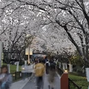 宁波旅游 缩略图 14