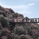 毕节旅游 缩略图 10
