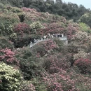 毕节旅游 缩略图 14