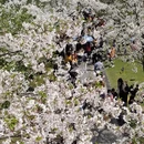 宁波旅游 缩略图 12