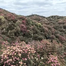 毕节旅游 缩略图 12