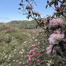 毕节旅游 缩略图 9