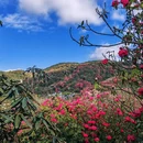 毕节旅游 缩略图 4