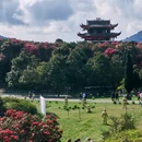 毕节旅游 缩略图 3