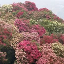 毕节旅游 缩略图 1