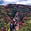 毕节旅游 缩略图 7