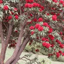 毕节旅游 缩略图 7