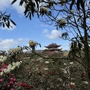 毕节旅游 缩略图 10