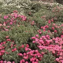 毕节旅游 缩略图 4