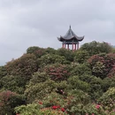 贵阳旅游 缩略图 9