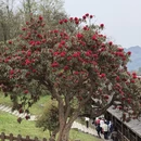 毕节旅游 缩略图 8