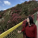 毕节旅游 缩略图 11